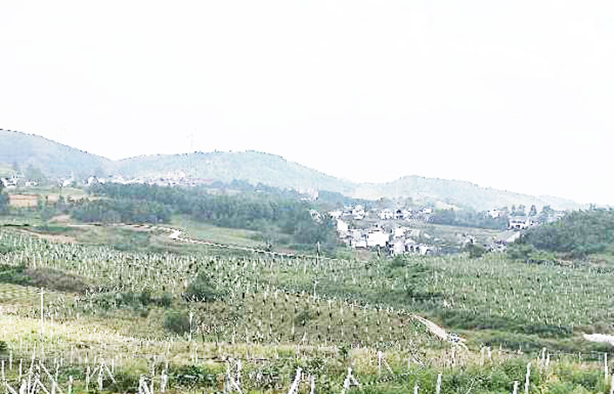 02.jpg