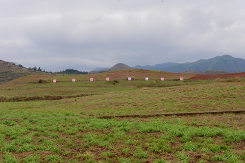 555.jpg