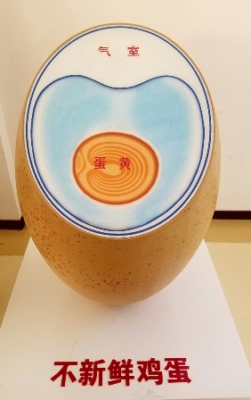 20161222_142059.jpg