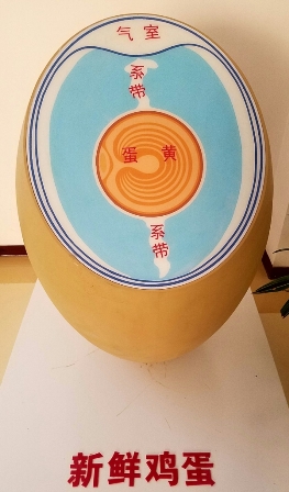 20161222_142141.jpg