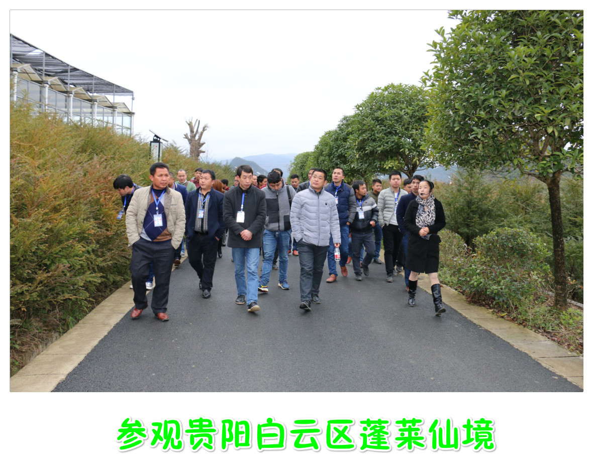 hongdousanpang2_meitu_5.jpg