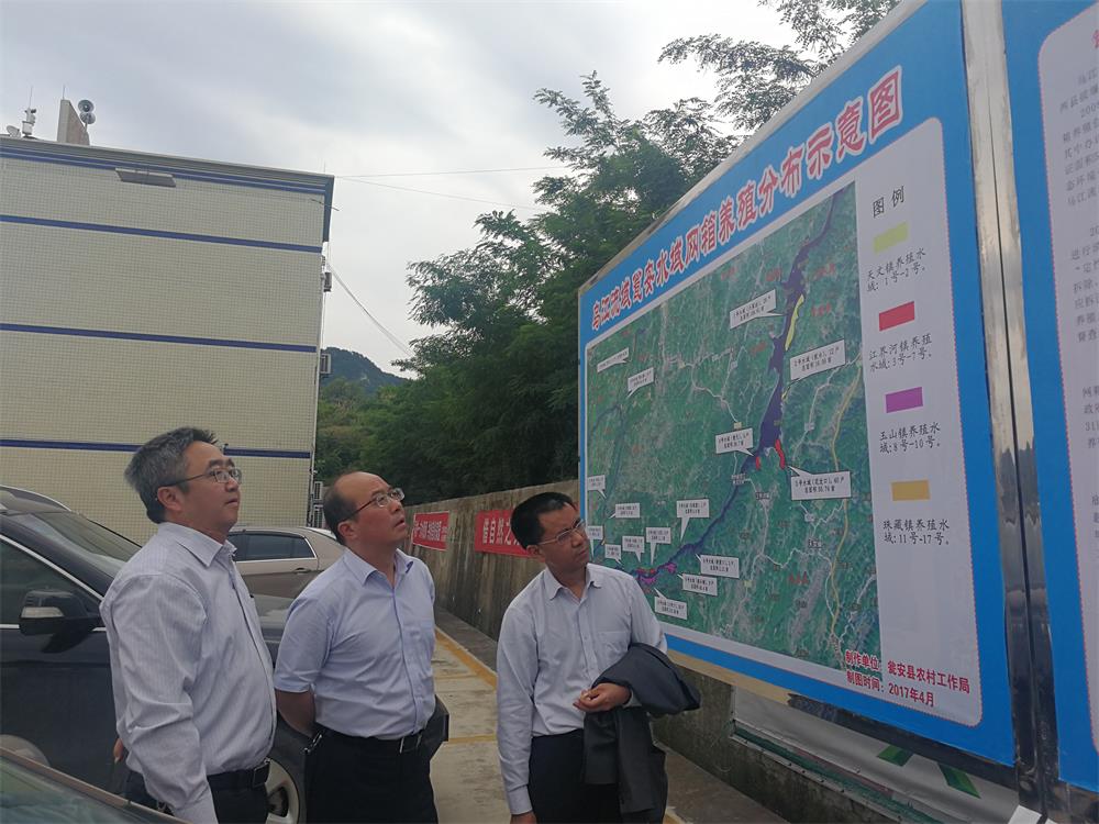 吴省长调研3.jpg