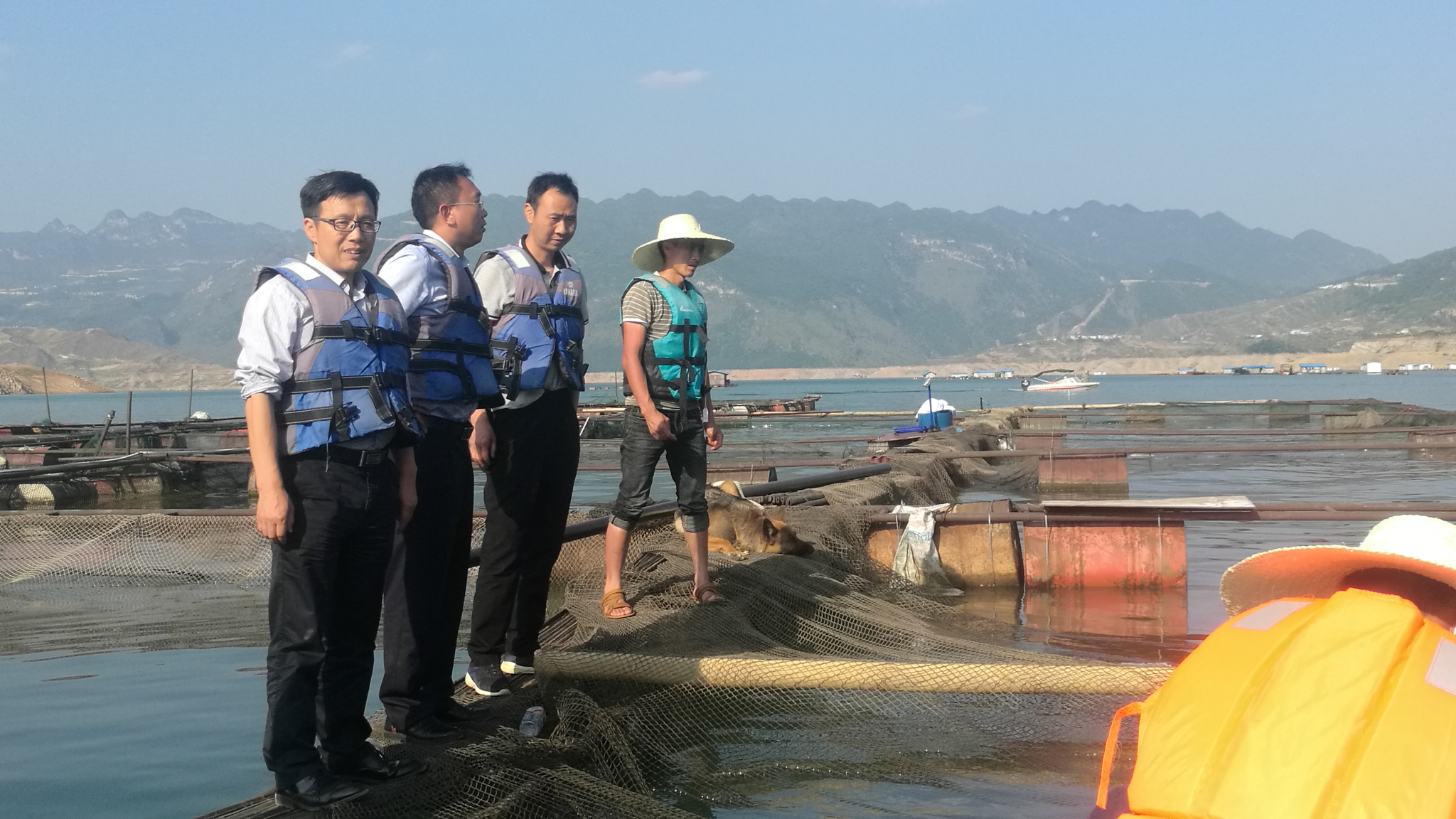 邓主任实地查看网箱拆除情况..png