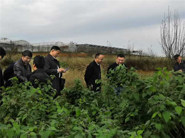 Cache_-697da50c9aa1ceeb._副本.jpg