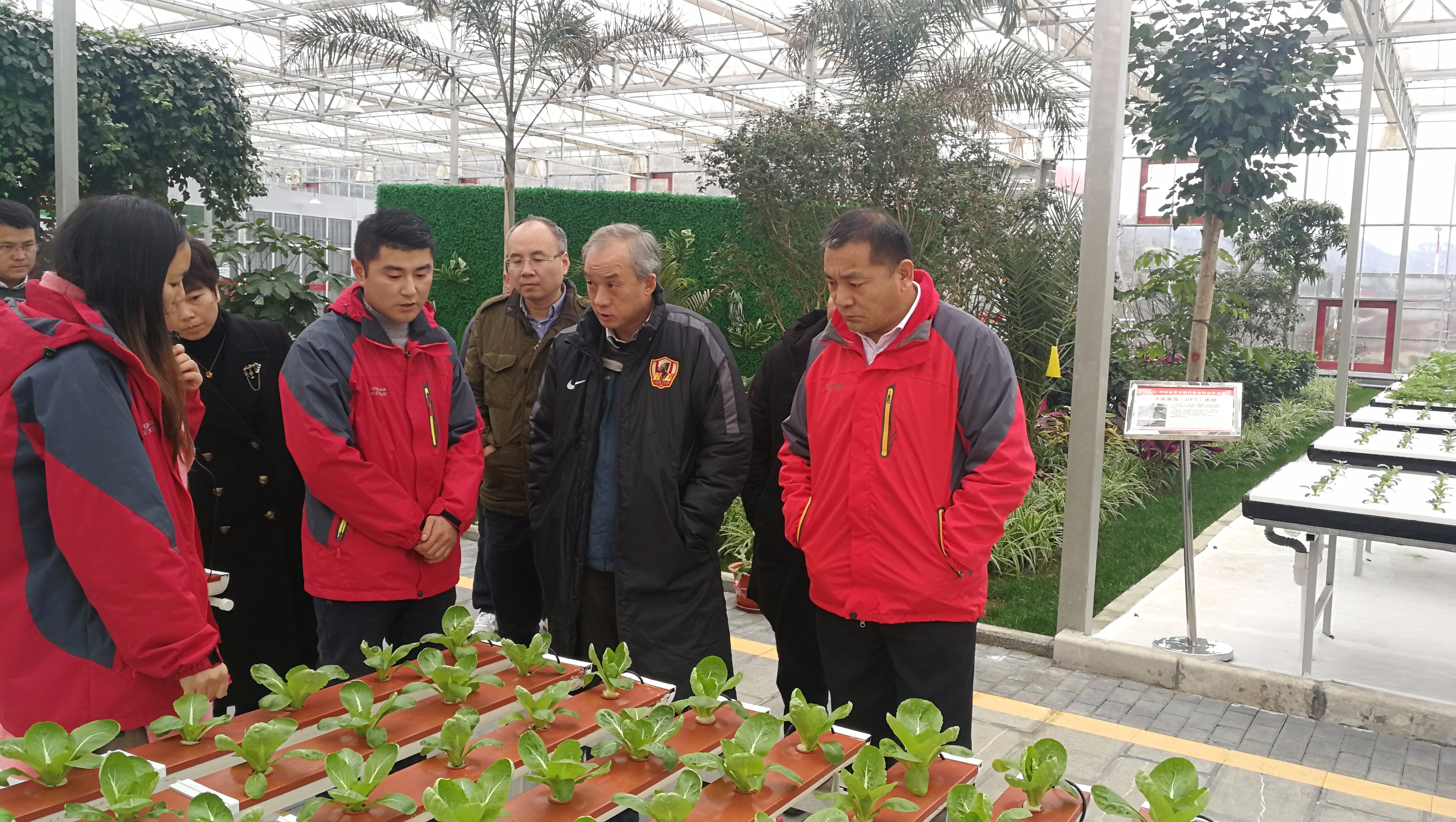 微信图片_201901151316063.jpg