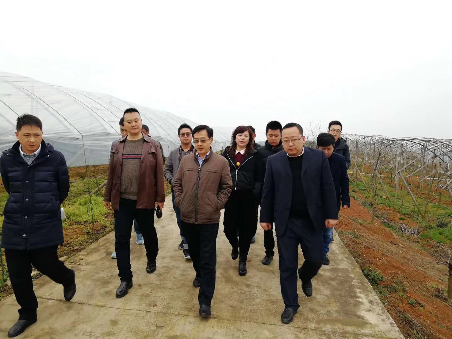 微信图片_20190308193552.jpg