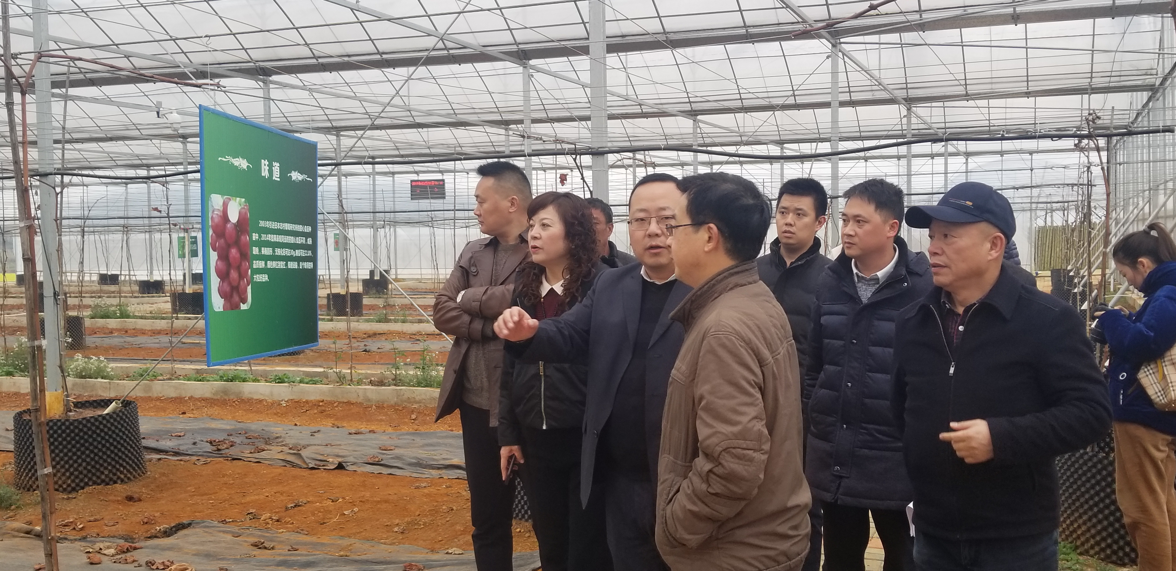 微信图片_20190308192704.jpg