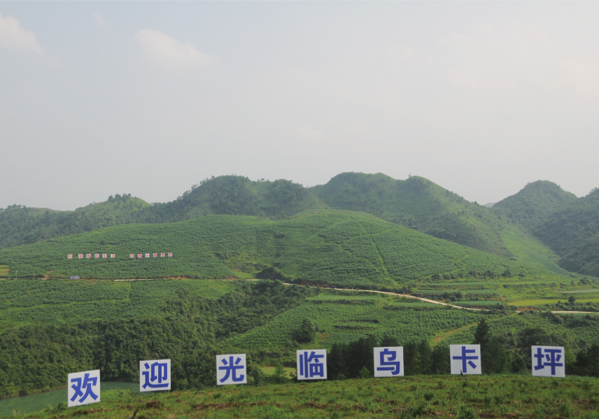 QQ图片20190614200559.png