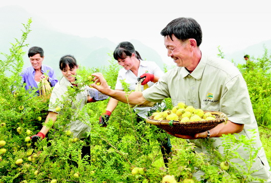 盘州市宏财公司2.jpg