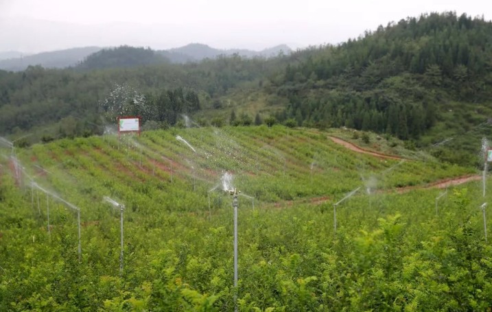 盘州市宏财公司.jpg