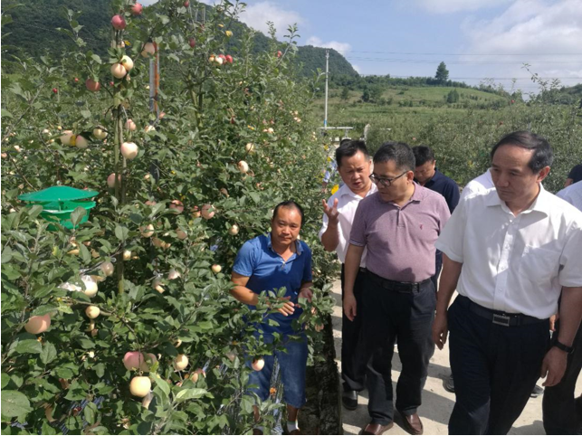 QQ图片20190820155248.png