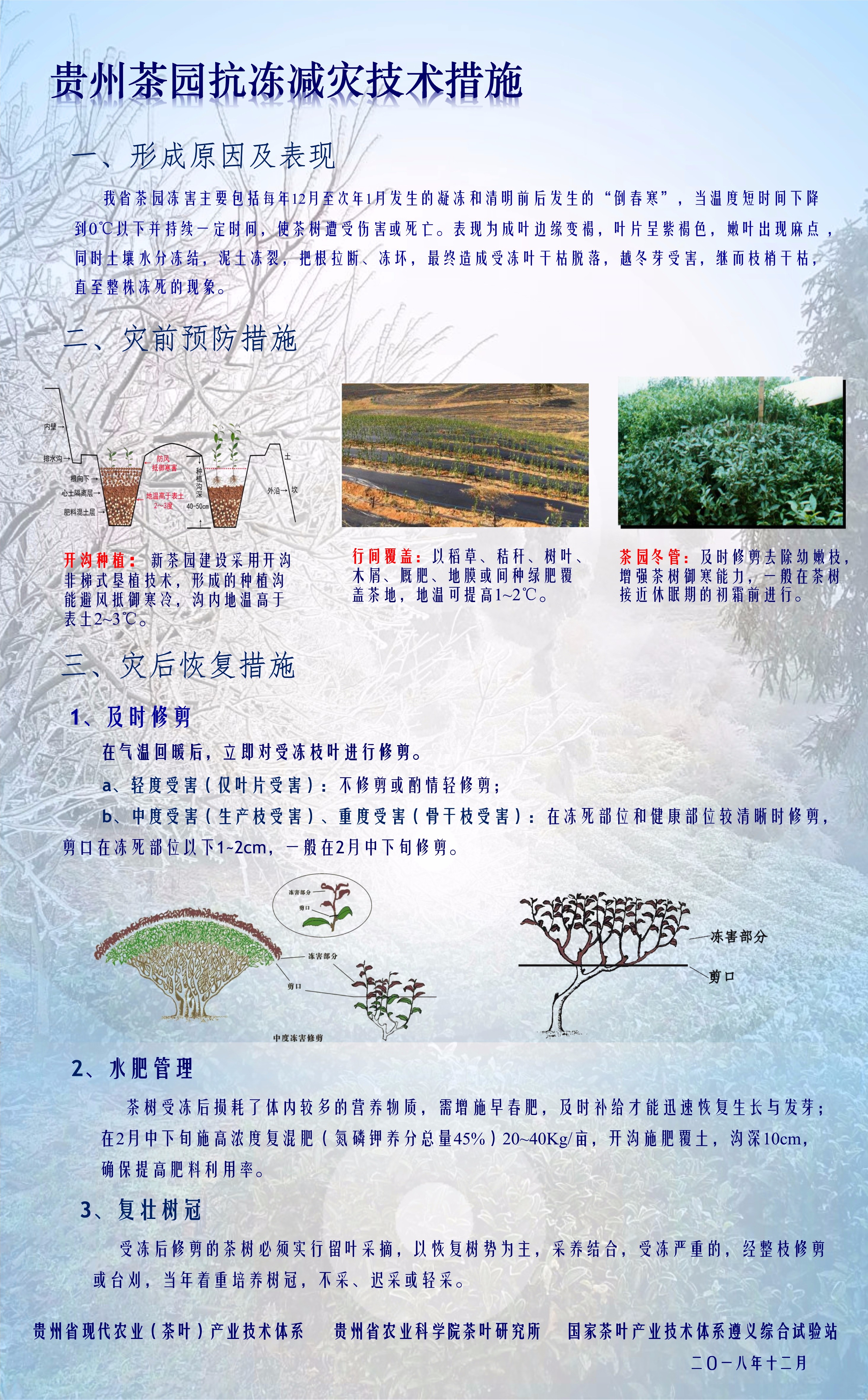 贵州茶园抗凝冻技术方案_1(1)_副本.jpg