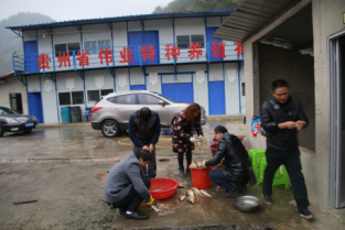 抽检2.png