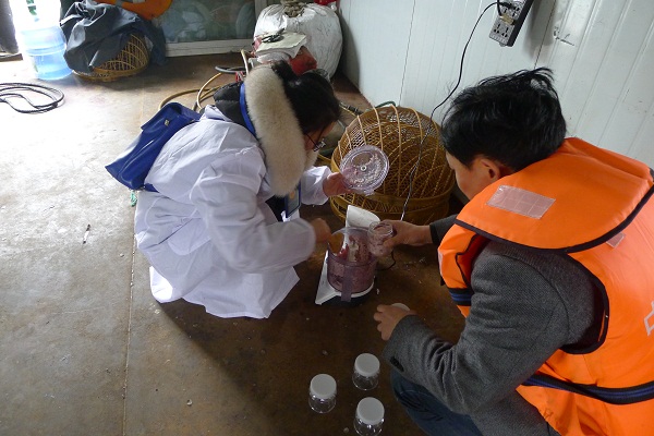 P1050040.JPG