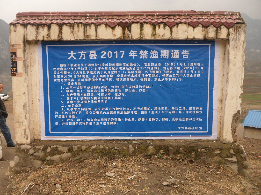 大方县禁渔宣传.png