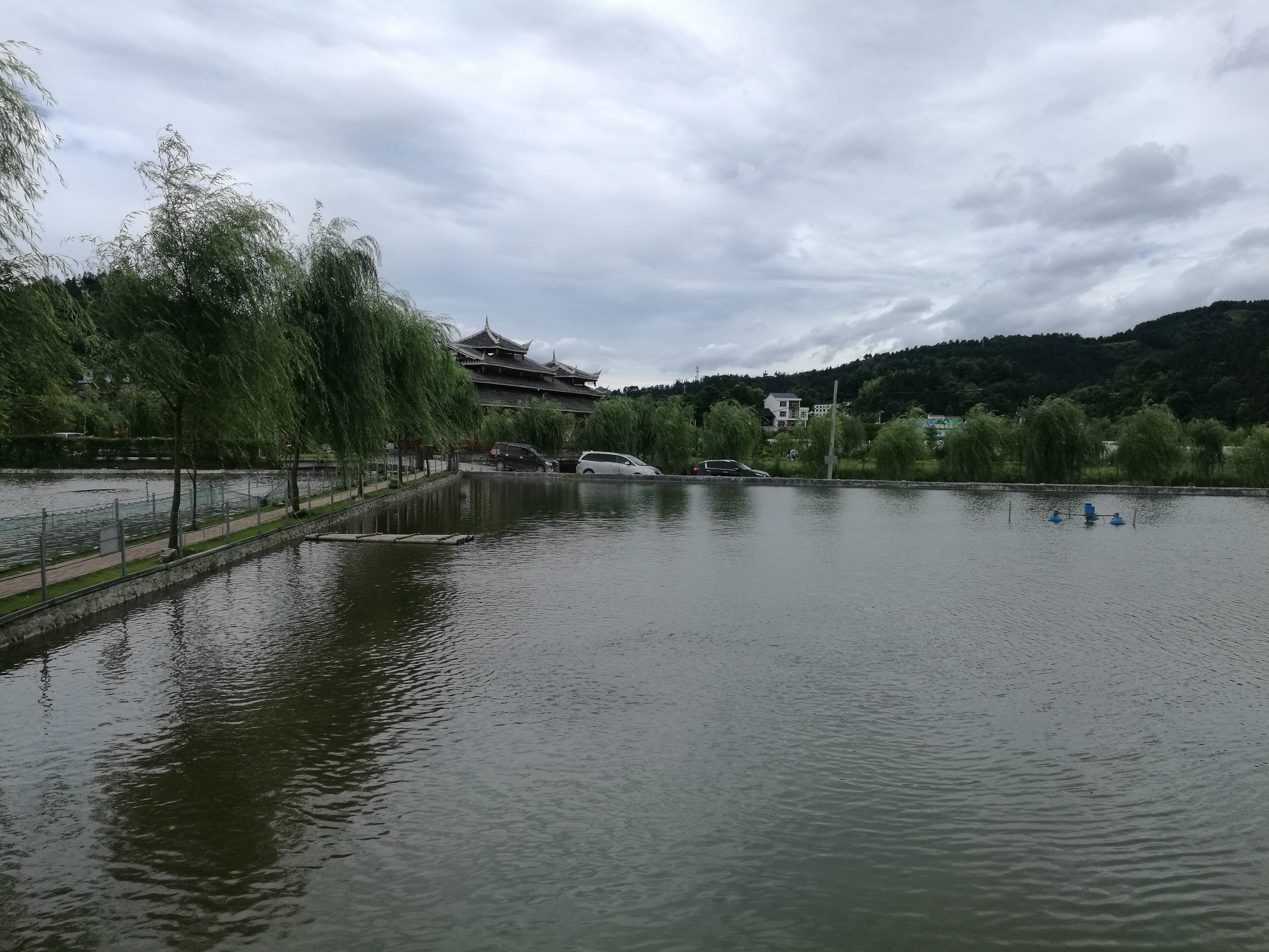 IMG_20170608_121443.jpg