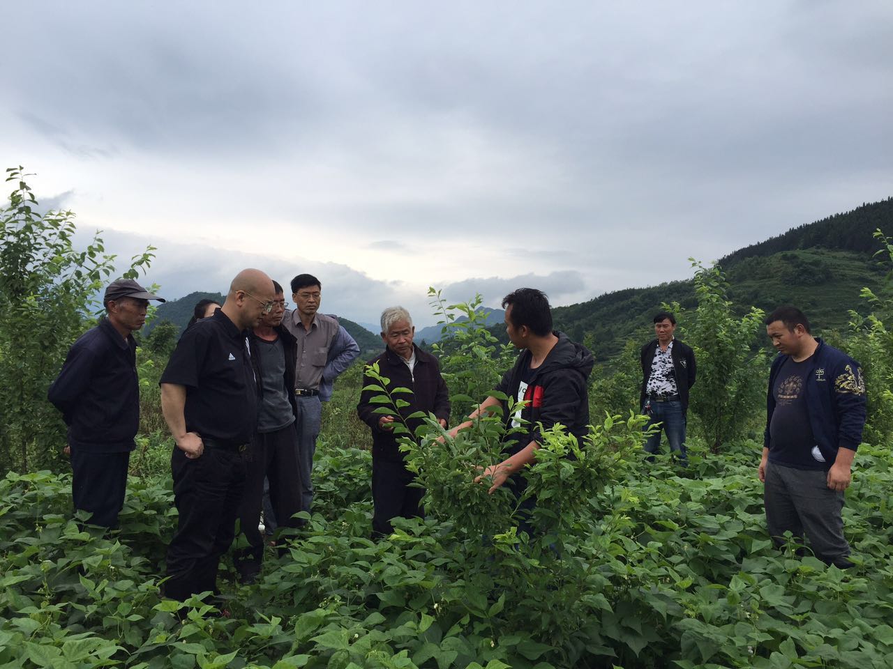 果树种植现场培训.jpg