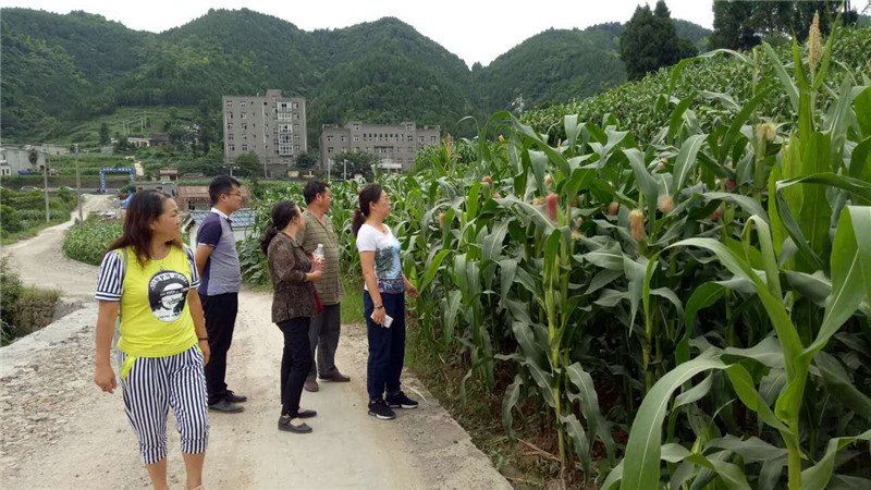 图片1_副本1.jpg