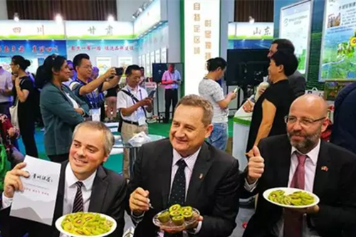 图片1_副本_副本.png