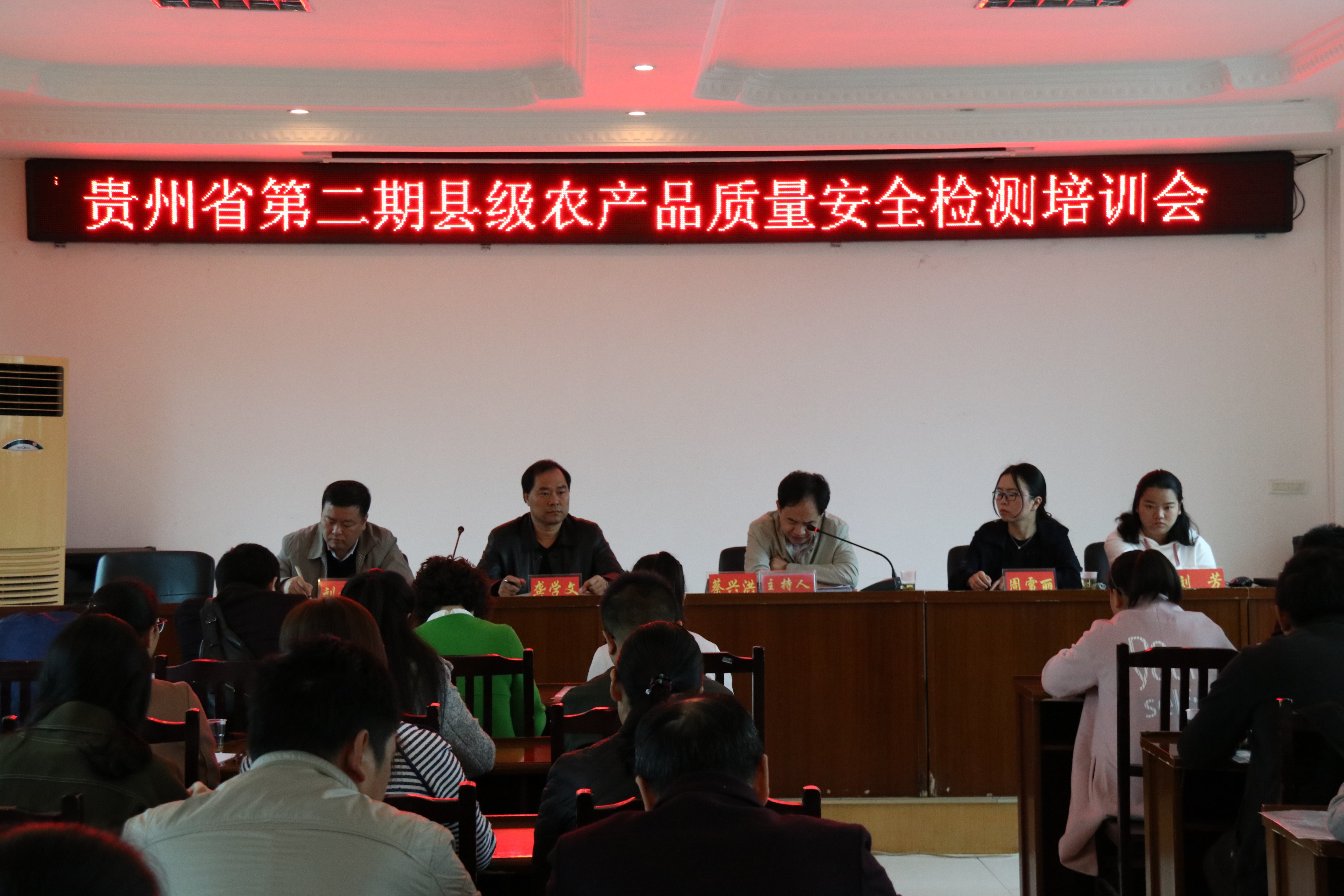 培训图片-7.JPG