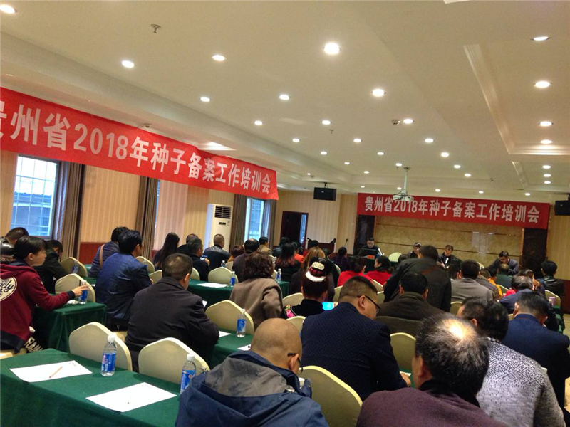 图片1_副本.png