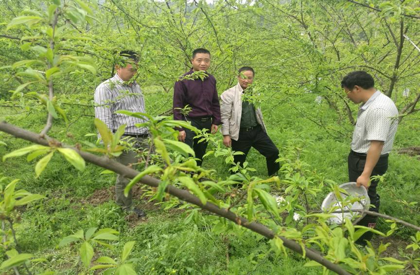 图片1.jpg