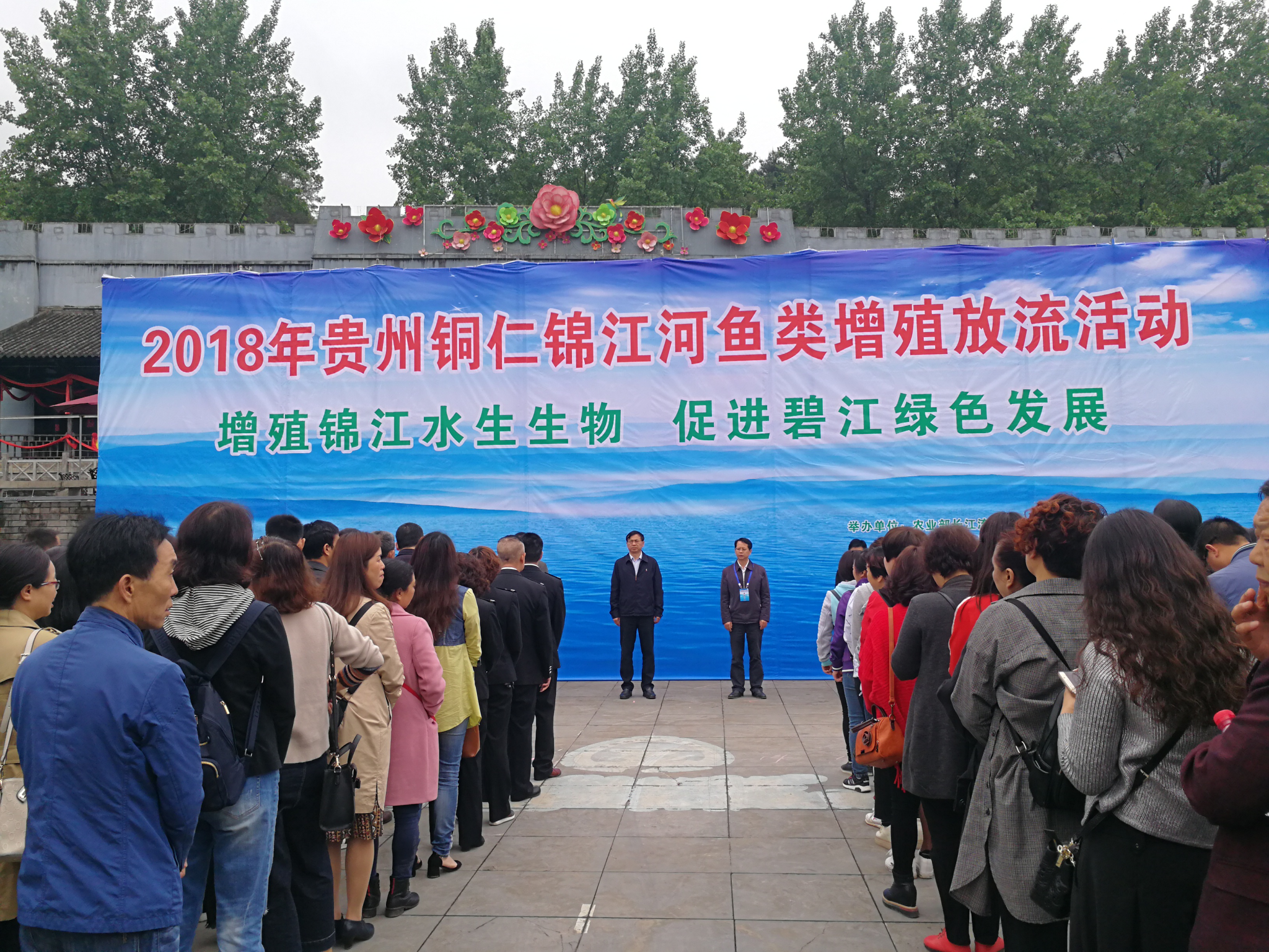 图片6_看图王.png