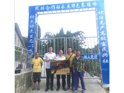 未标题-2.jpg 未标题-2.jpg