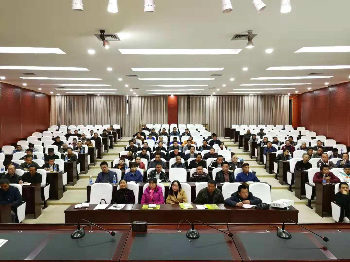 图片6.jpg