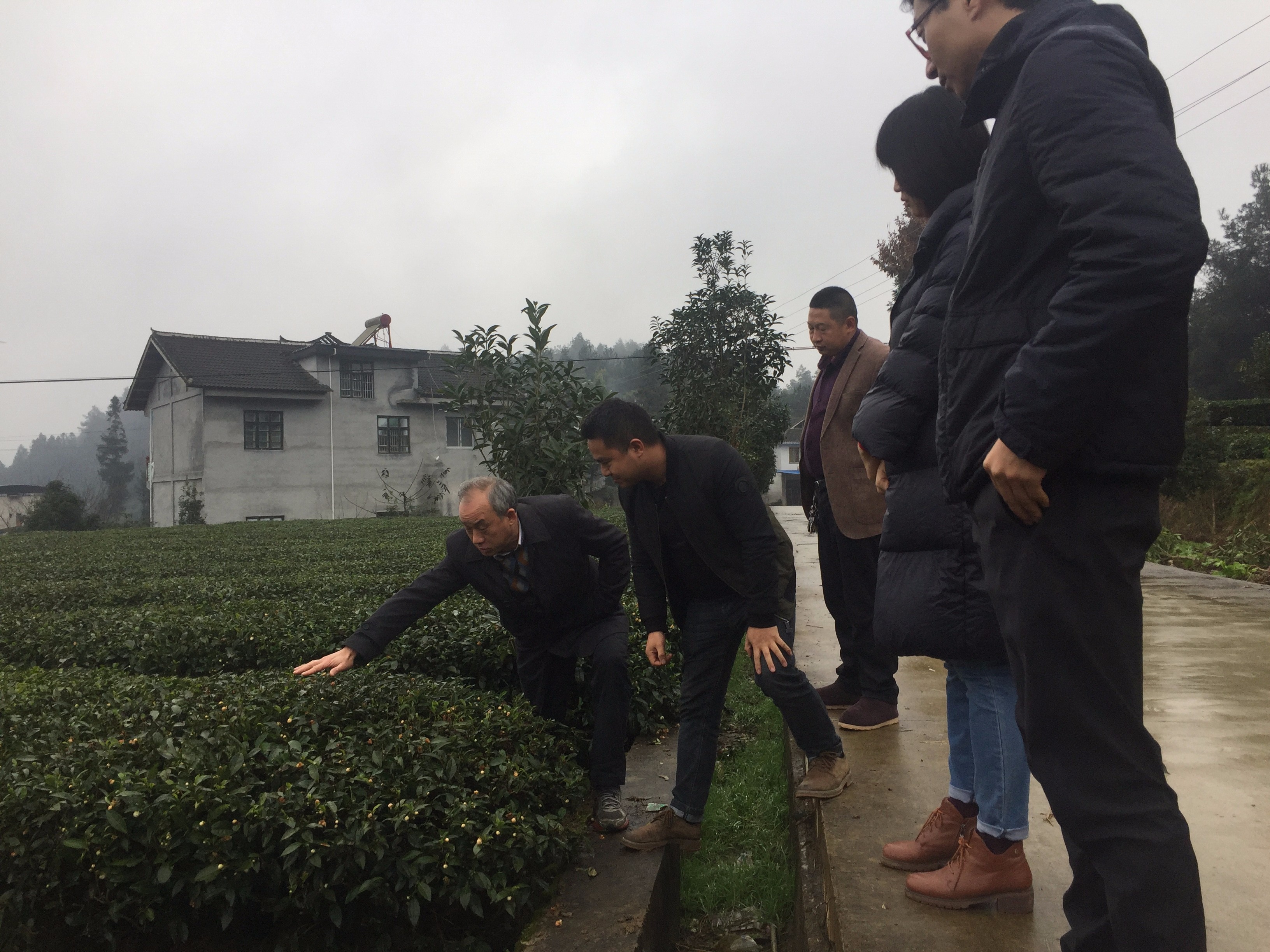 微信图片_20181222112920.jpg