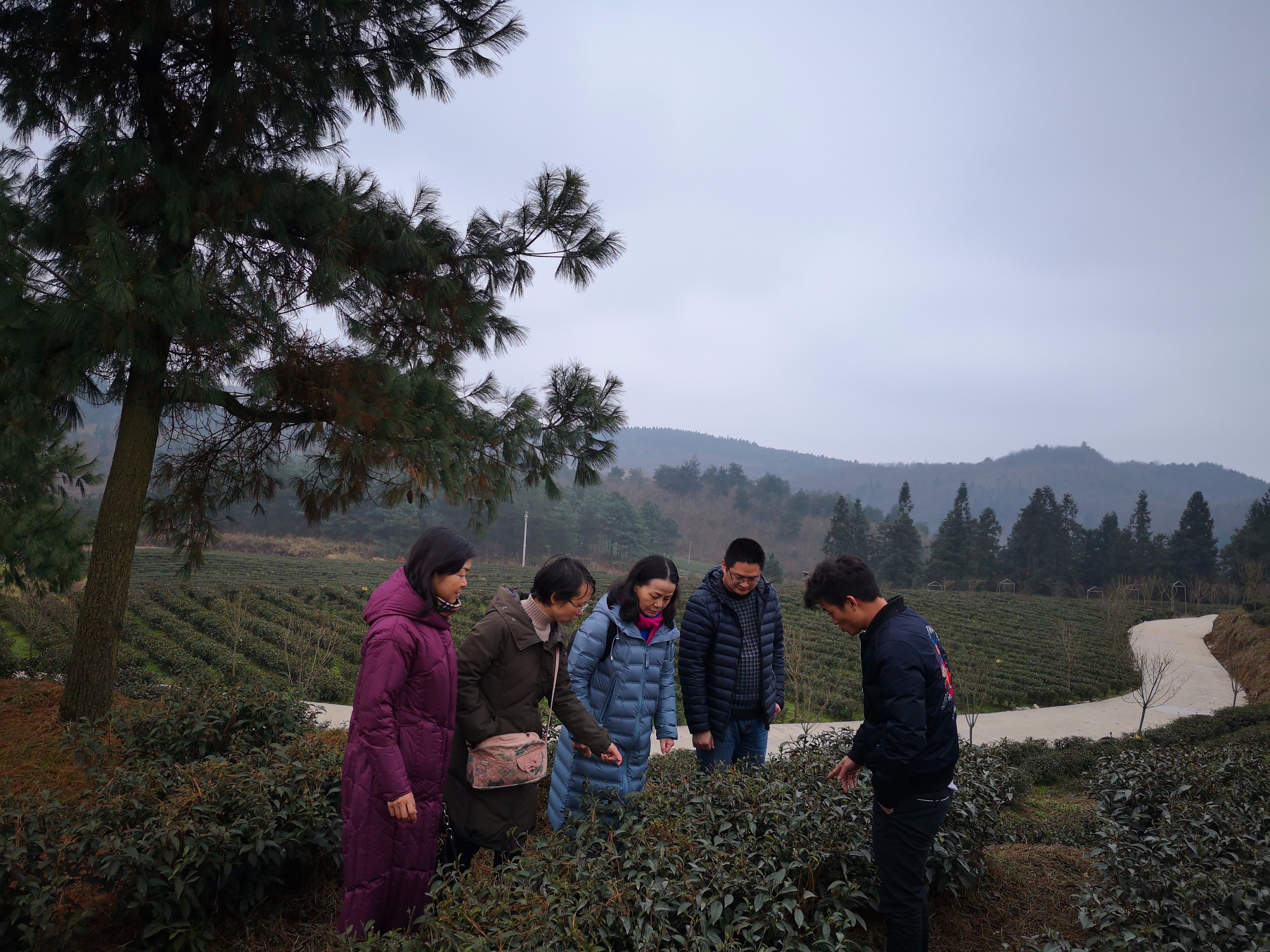 微信图片_20190118093022.jpg