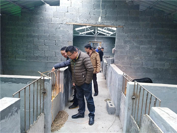 图片1_副本.png