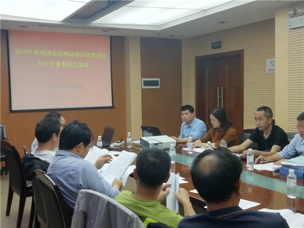 图片2_副本.png