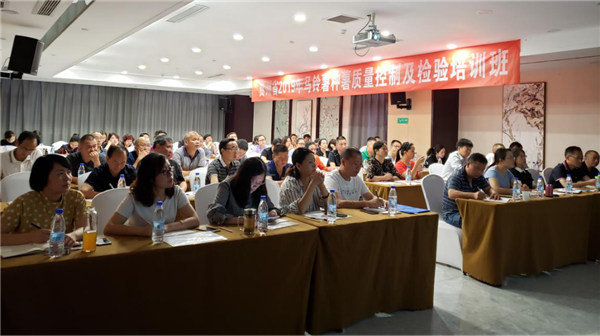 图片3_副本.png