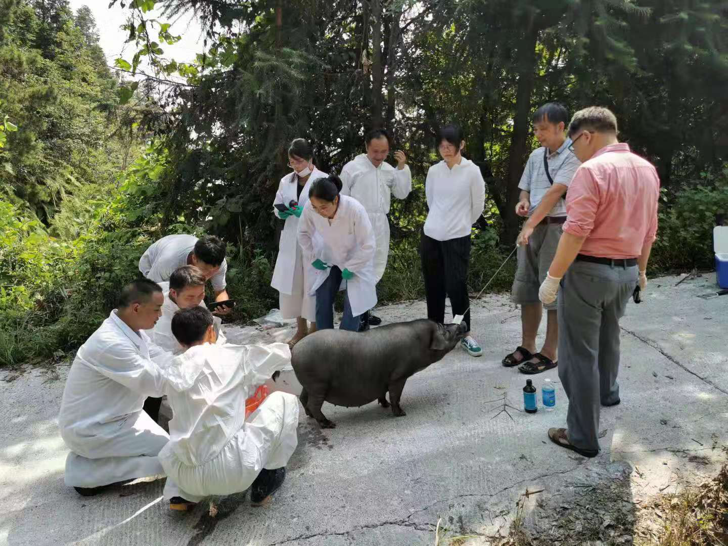 图片1.png