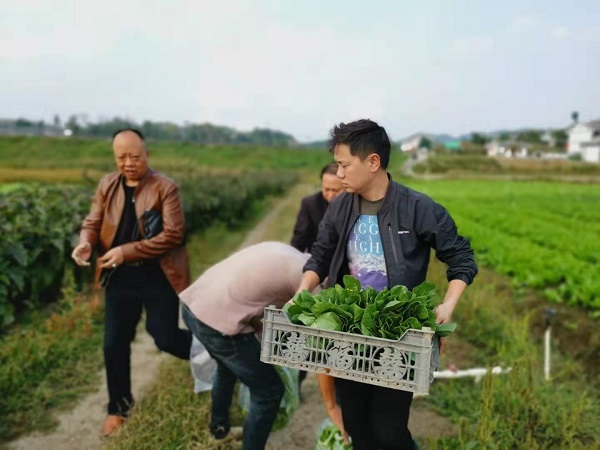 微信图片_20190929164035.jpg