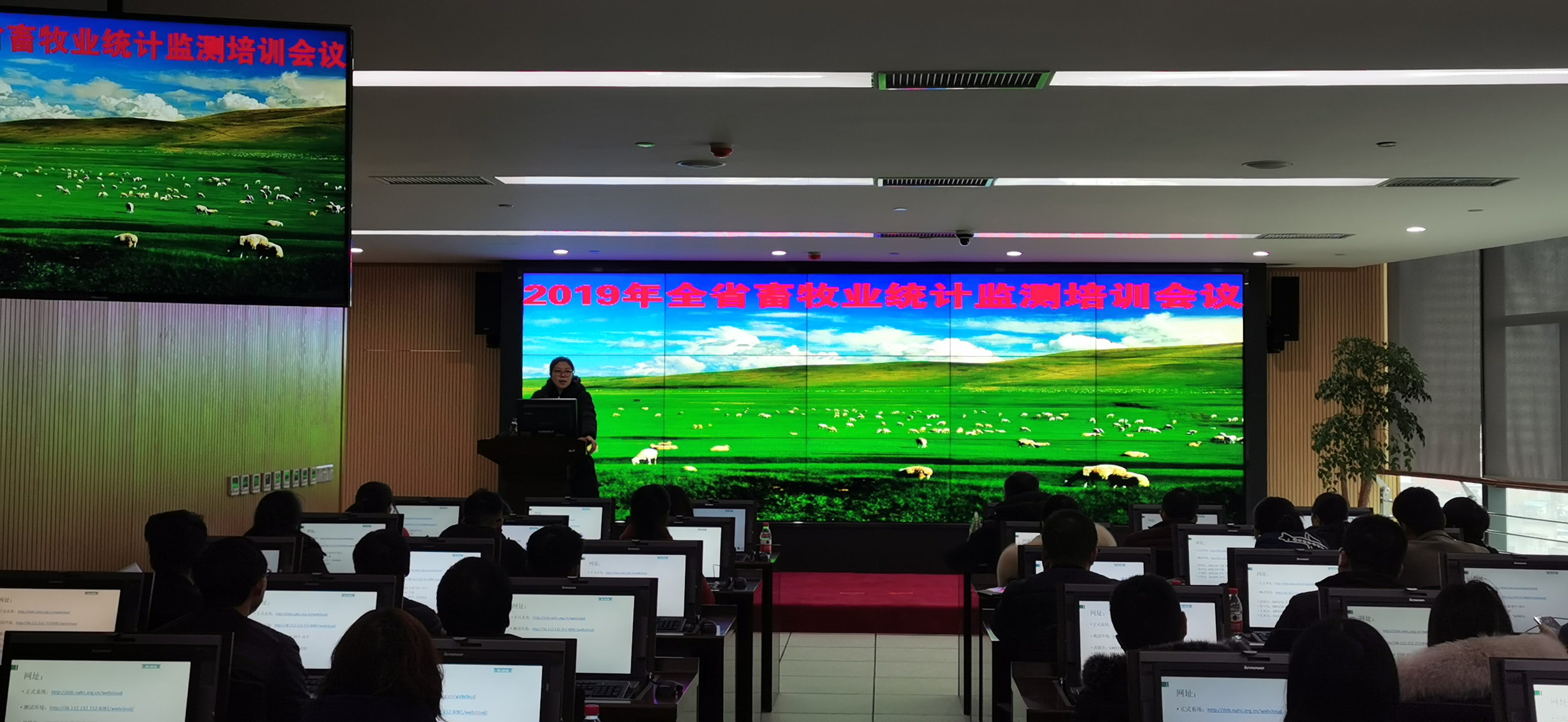 IMG_20191202_145524_看图王.png