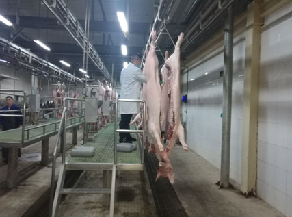 QQ截图20180425113700.png