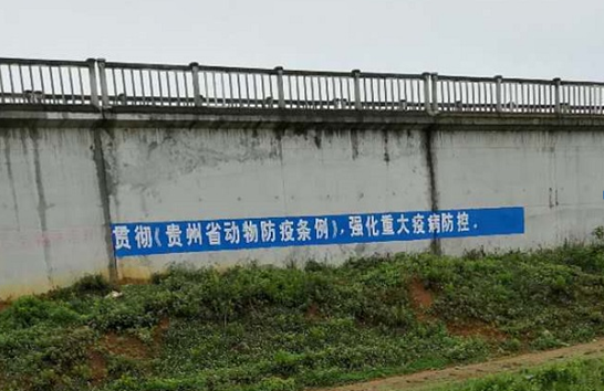 QQ截图20180522153939.png