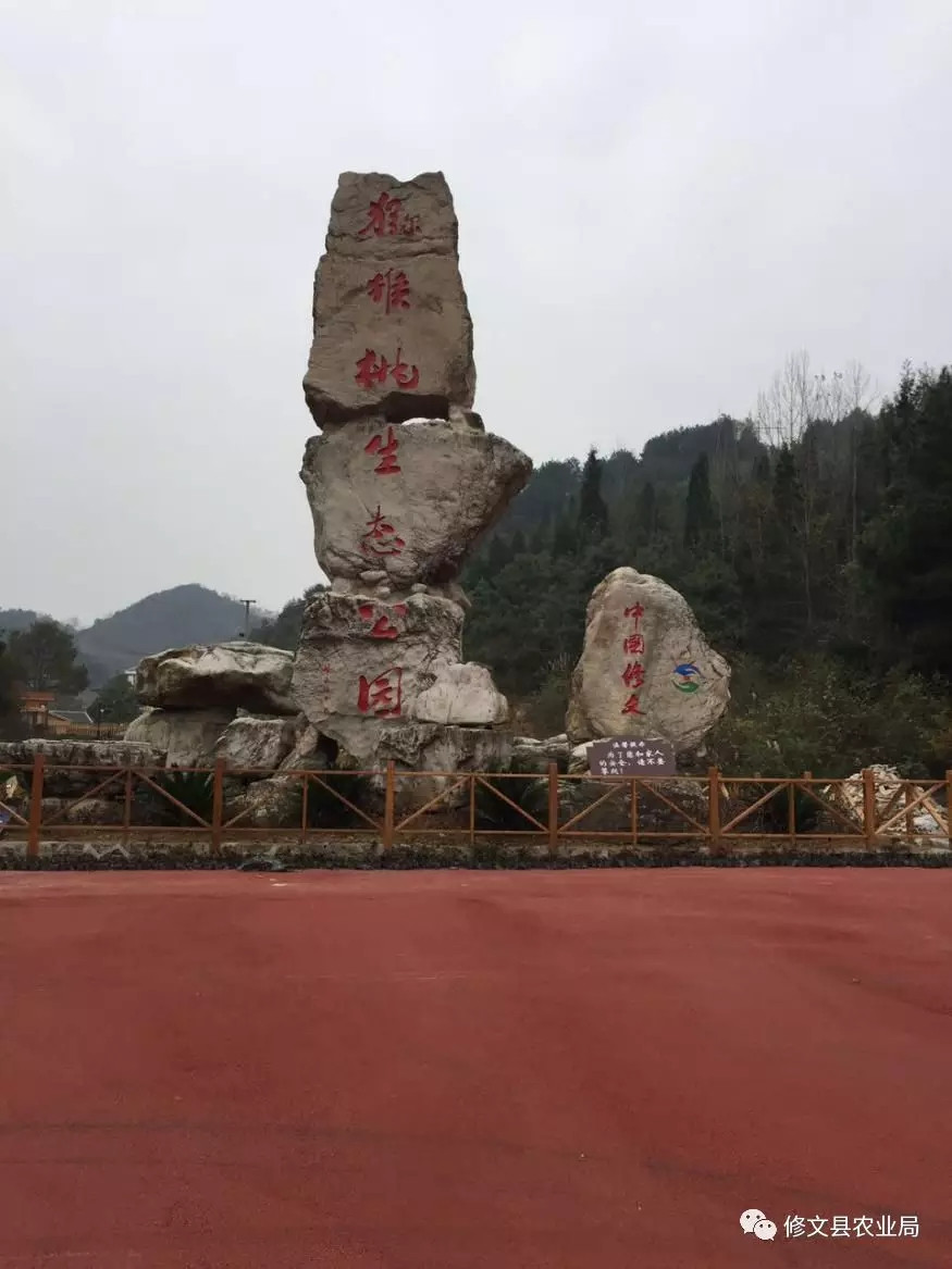 修文01.webp.jpg