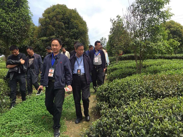 微信图片_20190417164410.jpg