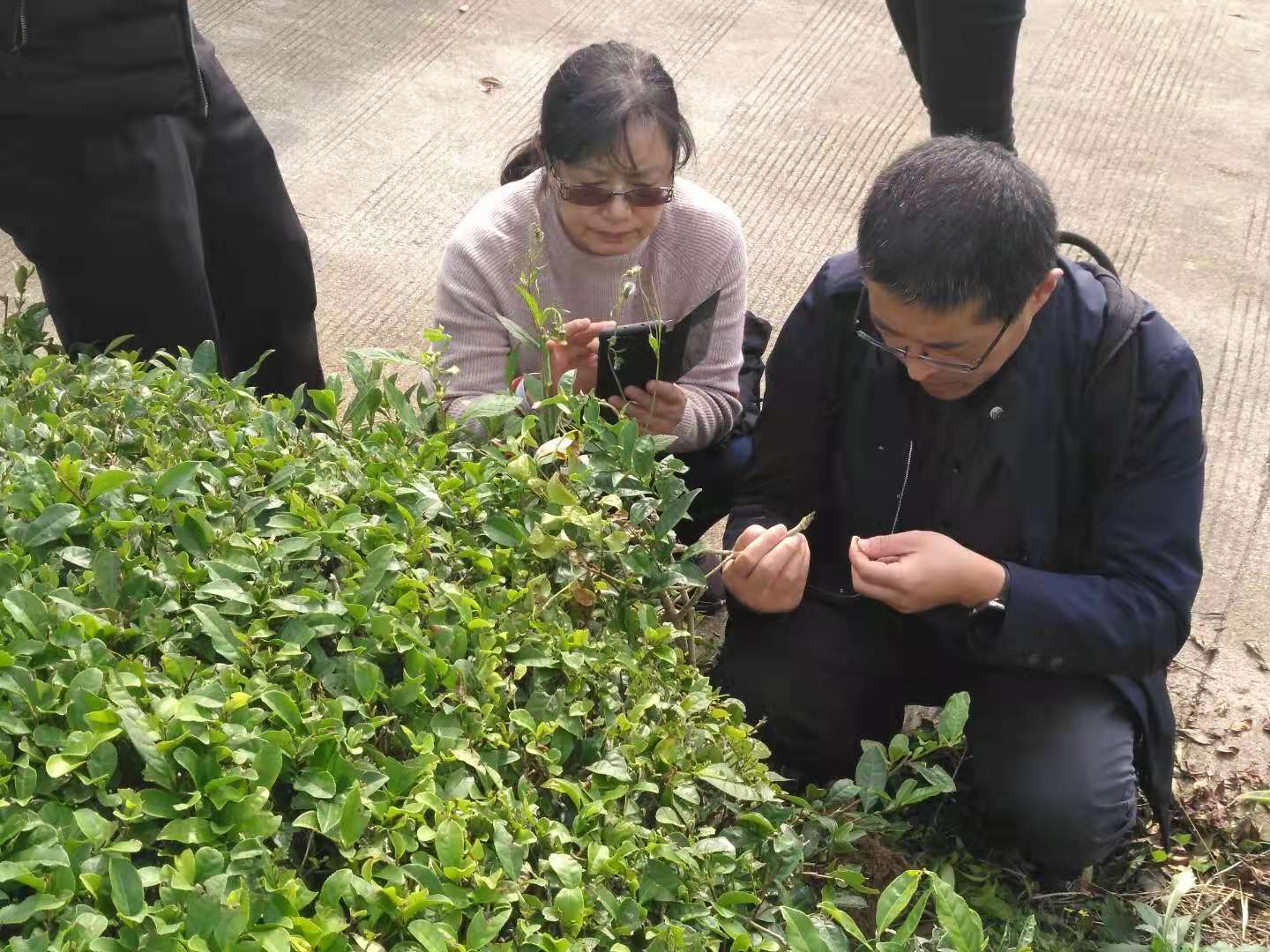 微信图片_20191114110130.jpg