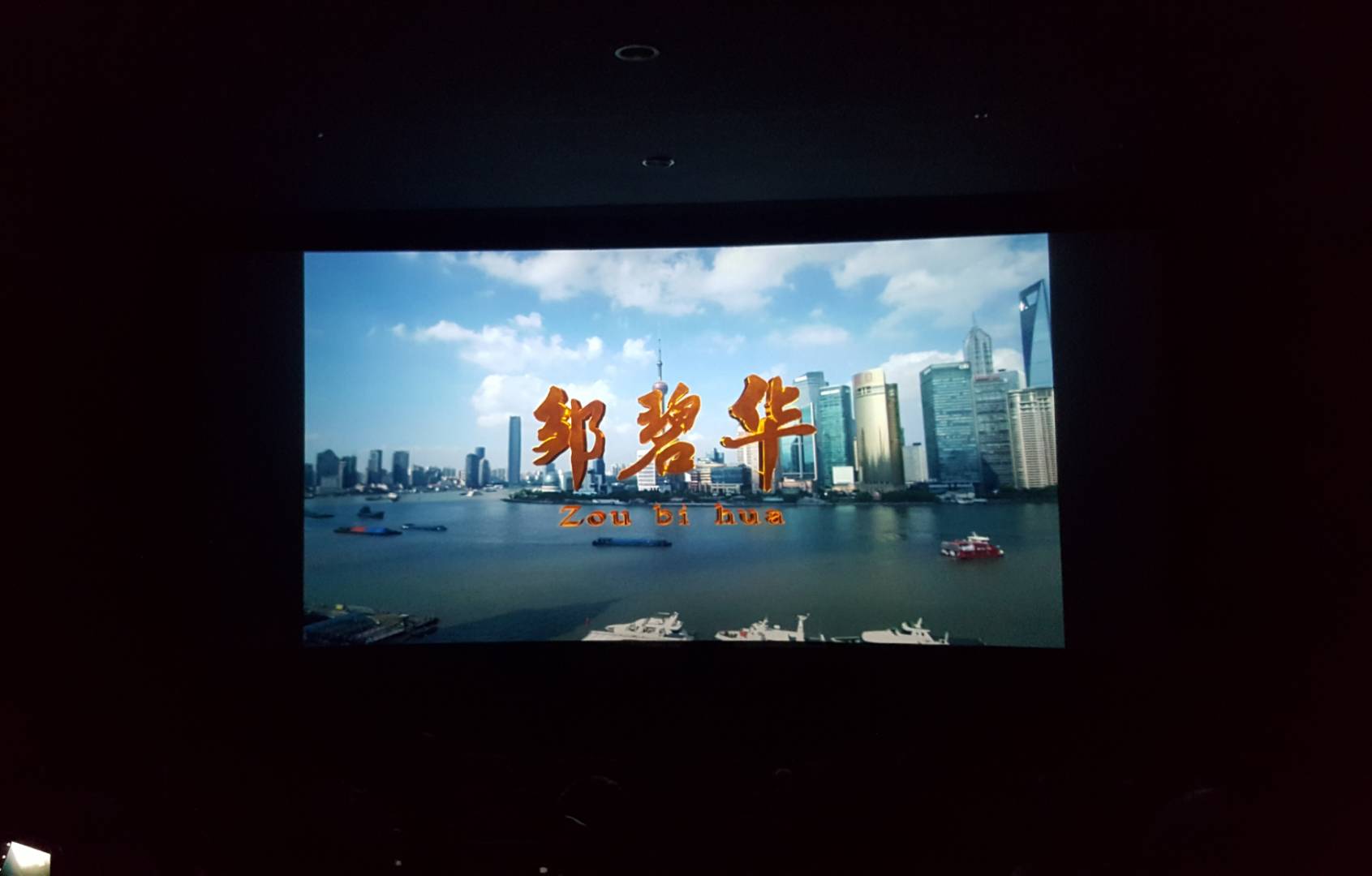 邹碧华.jpg