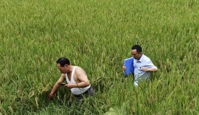 640_看图王.web(2).jpg