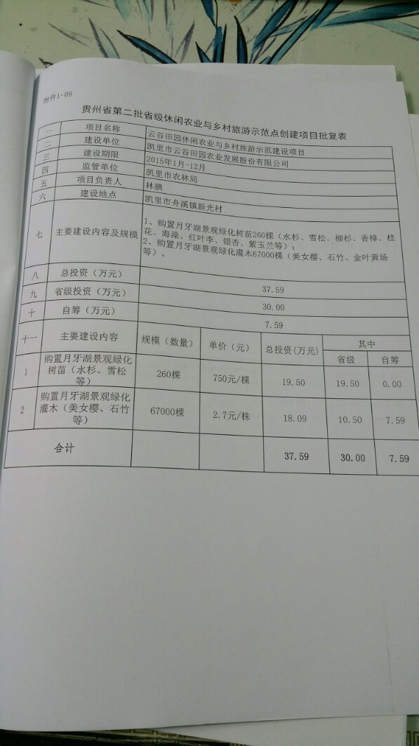 1201_9.jpg